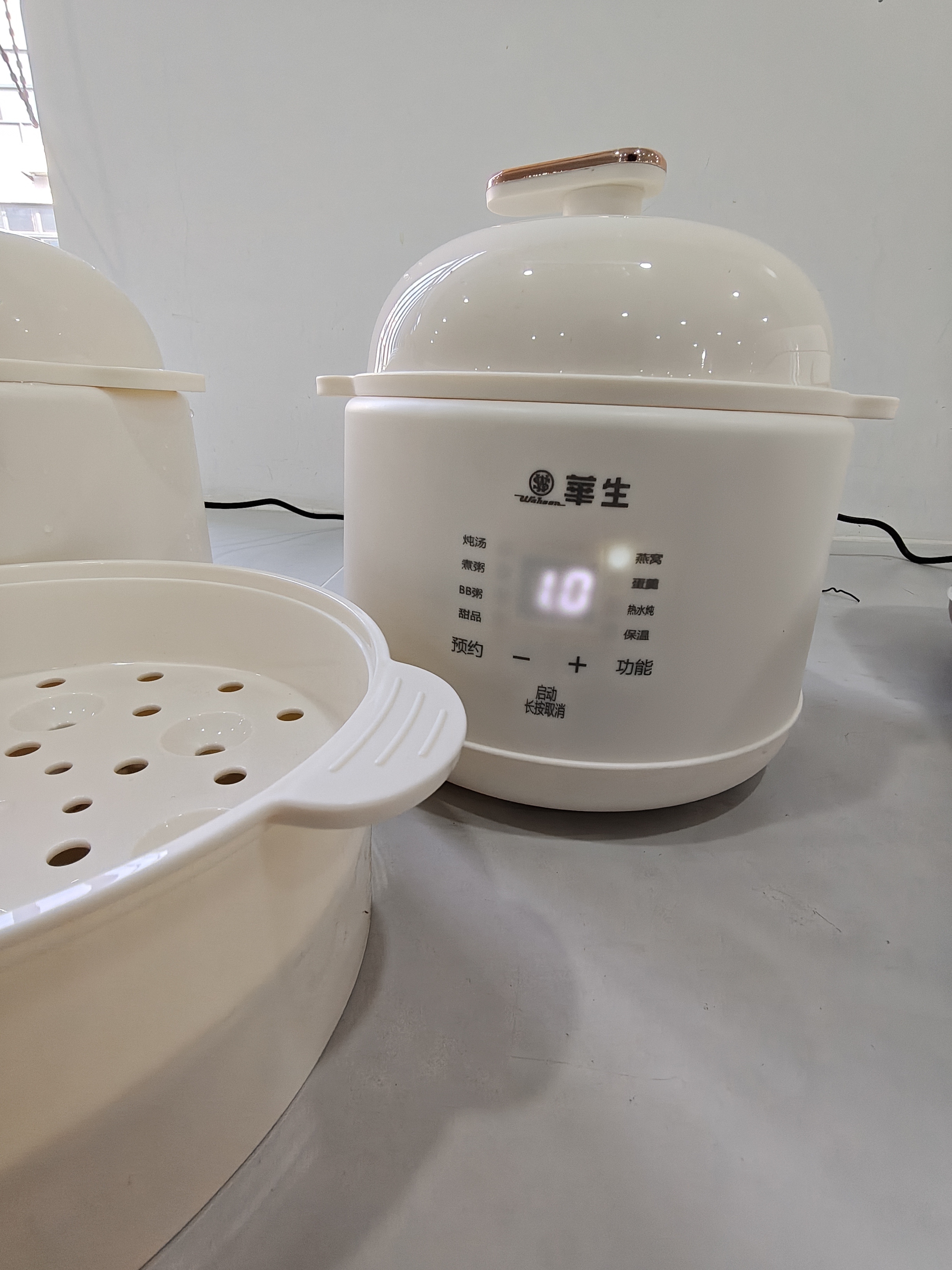 华生隔水炖WS-DDGZ16说明书